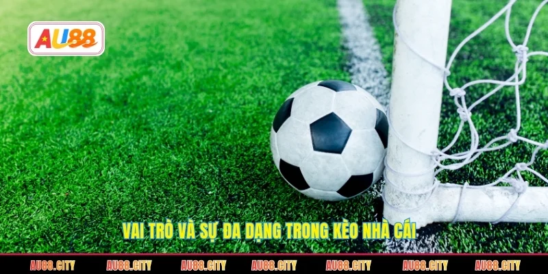 Vai trò và sự đa dạng trong kèo nhà cái